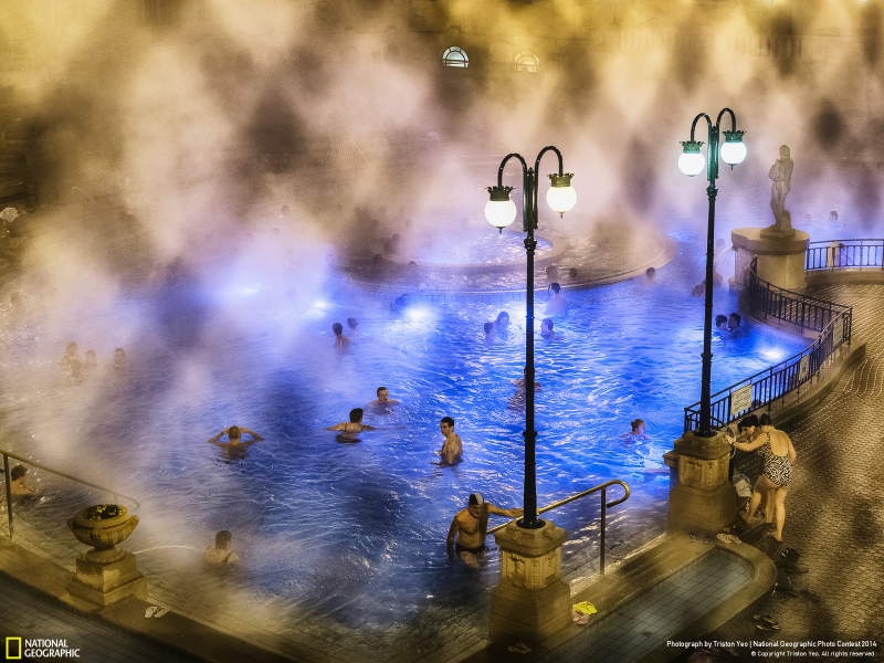 Illustration for article titled The Winning Images From National Geographic's 2014 Photo Contest
